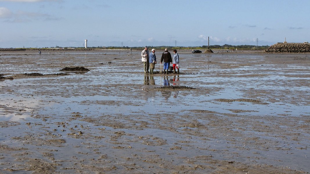 2014 Ile de Noirmoutiers (169)
